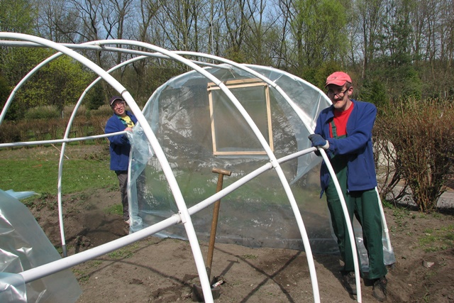 budowa tunelu foliowego w ogrodzie przy warsztacie